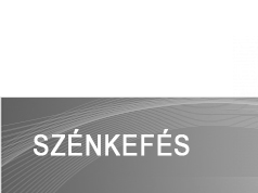 BienAir szenkefes1